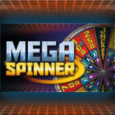 Mega Spinner Dice