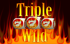 Triple Wild Seven Dice